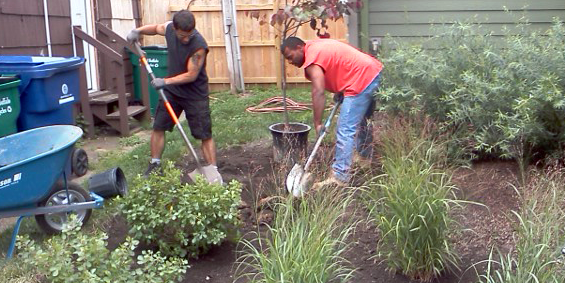 Plant a tree or other native plants 